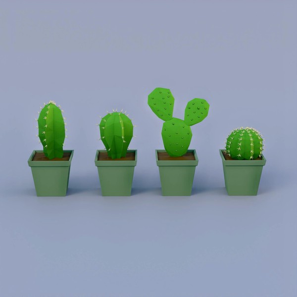 Cacti